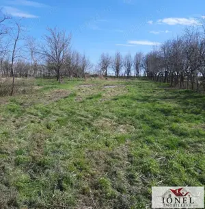 Vanzare casa veche in Ohaba -1400 mp teren - imagine 7