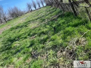 Vanzare casa veche in Ohaba -1400 mp teren - imagine 8