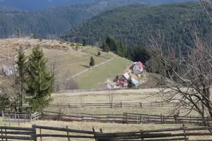 Teren pentru cabane. - imagine 4