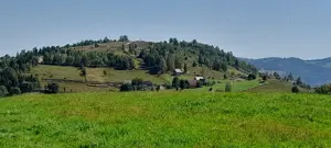 Teren pentru cabane. - imagine 3