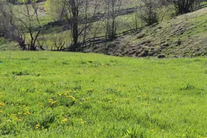 Teren pentru cabane. - imagine 6