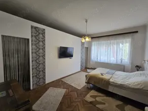 Apartament cu 3 camere aproape de inima Satmarului | Curte proprie 290 mp - imagine 5