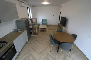 Braytim/Urseni zona Uzina de apa, la prima inchiriere. - imagine 4