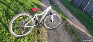 Biciclete copii și adulți.dama