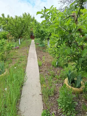 Vand casa cu teren 2093 mp Murgesti Buzau - imagine 3