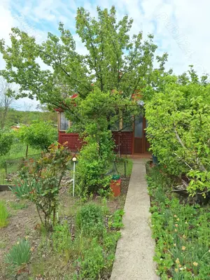 Vand casa cu teren 2093 mp Murgesti Buzau - imagine 4