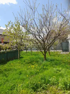 Vanzare Casa Proprietar Campulung Moldovenesc - imagine 9