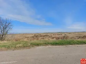 OCAZIE!!! Teren industrial in Chisineu Cris, la doar 20 euro mp! Parcelare la cerere! - imagine 3