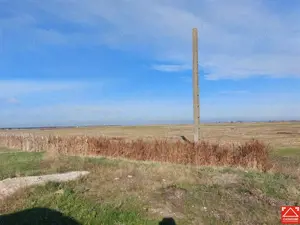 OCAZIE!!! Teren industrial in Chisineu Cris, la doar 20 euro mp! Parcelare la cerere! - imagine 7