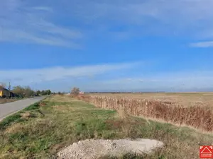 OCAZIE!!! Teren industrial in Chisineu Cris, la doar 20 euro mp! Parcelare la cerere! - imagine 8