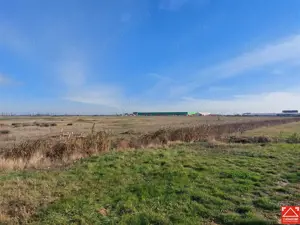 OCAZIE!!! Teren industrial in Chisineu Cris, la doar 20 euro mp! Parcelare la cerere! - imagine 9