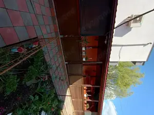 Valul lui Traian casa P+M + pod construcție BCA construcție 2007 suprafața totală 300 m toate utilit - imagine 9