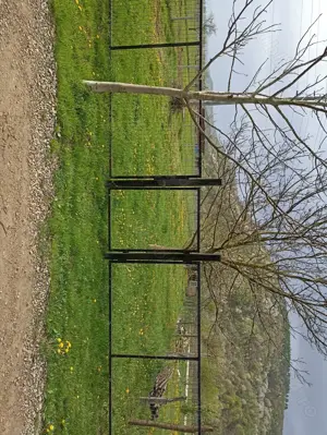 Teren de vanzare - imagine 2