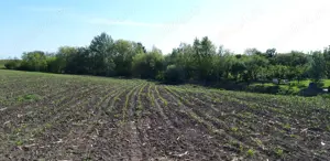 Vând teren intravilan