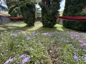 Cabană de vânzare în Lunca Bradului