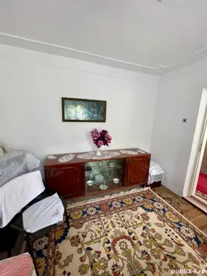 Casă de vânzare cu acces la Brațul Borcea, Bordușani - imagine 6