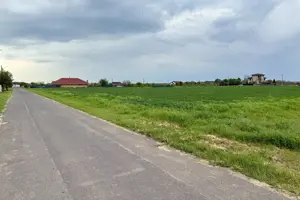 Teren intravilan de 1000 mp în Grădiștea, Ilfov – ideal pentru casa ta - imagine 3