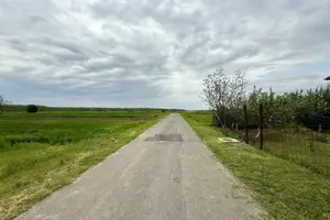 Teren intravilan de 1000 mp în Grădiștea, Ilfov – ideal pentru casa ta - imagine 5