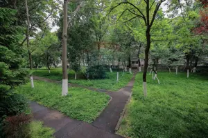 Apartament 2 camere de vânzare – Str. Aluminei - imagine 18