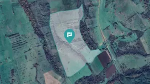 Teren arabil de 87 hectare în Bara, Timiș - imagine 4