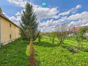 Teren 1300 mp, Beregsău Mare - imagine 5