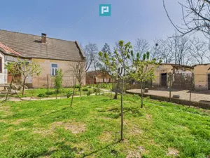 Casă cu grădină mare la 30 km de Timișoara - imagine 15
