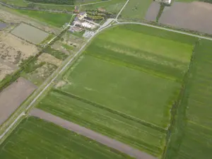 Teren extravilan de 22500mp Zona Ineu - imagine 10