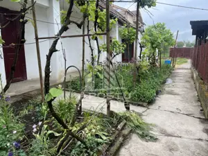 Casa individuala, teren generos 1800mp, in Sanandrei