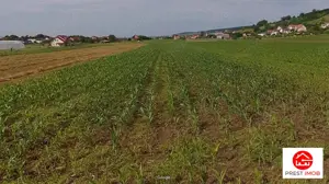 Teren de vanzare in Santana de Mures - imagine 2