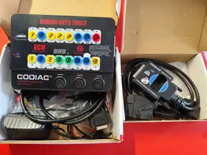 Godiag gt 100 , cas 4 - imagine 3