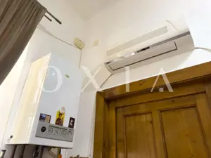 OX642 Piata Unirii, Etaj 1, Ideal Pentru Investitie - imagine 15