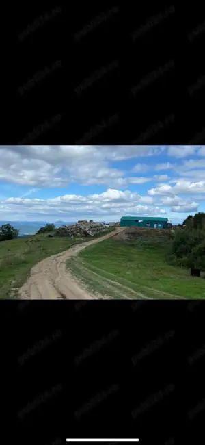 Ferma zootehnica de vanzare