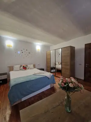 Locuință Boemă la Demisol, 2 Camere în Vilă -Comision 0% Chirias - imagine 3