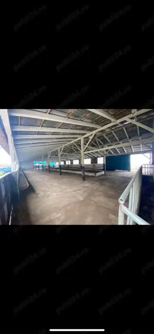 Ferma zootehnica de vanzare - imagine 2 Ferma zootehnica de vanzare - imagine 2