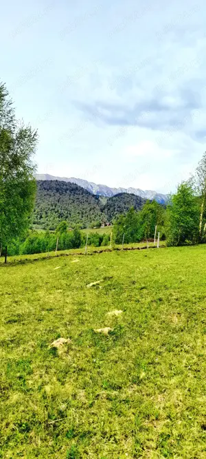 Teren Pestera 9 euro mp - imagine 10