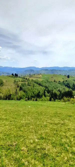 Teren Pestera 9 euro mp - imagine 9