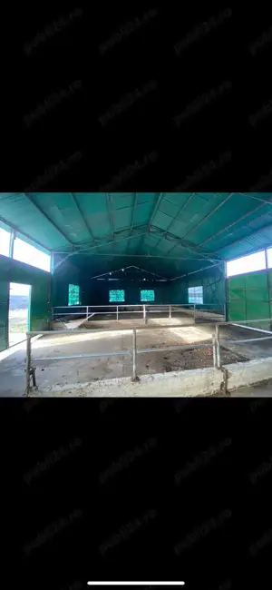 Ferma zootehnica de vanzare - imagine 5 Ferma zootehnica de vanzare - imagine 5