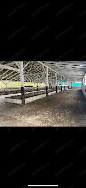 Ferma zootehnica de vanzare - imagine 4 Ferma zootehnica de vanzare - imagine 4