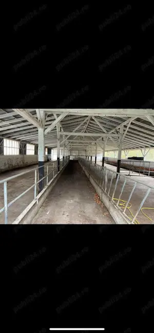 Ferma zootehnica de vanzare - imagine 3 Ferma zootehnica de vanzare - imagine 3