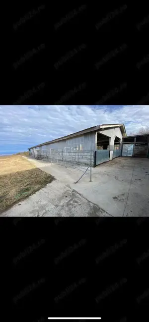 Ferma zootehnica de vanzare - imagine 6 Ferma zootehnica de vanzare - imagine 6