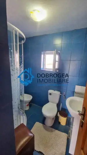 CATALOI - CASA P+E ,6 CAMERE ,TEREN 2000 MP - imagine 11