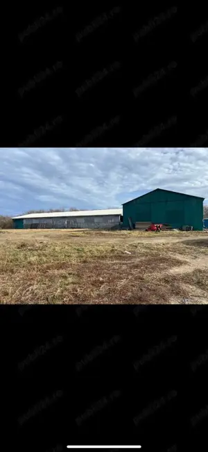 Ferma zootehnica de vanzare - imagine 7 Ferma zootehnica de vanzare - imagine 7