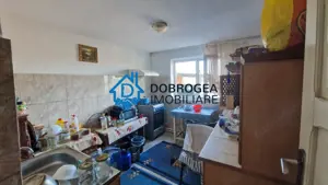 CATALOI - CASA P+E ,6 CAMERE ,TEREN 2000 MP - imagine 9