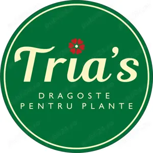 Vanzator in magazine de plante si flori - Floraria Trias