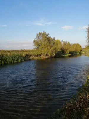 Vând baltă de pescuit, amenajată în perioada anilor 70, fostă pescărie comunală