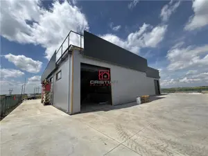 Inchiriere depozit hala spatiu industrial Domnesti - Centura, Ilfov - imagine 12