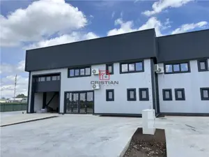 Vanzare depozit hala spatiu industrial Domnesti - Centura, Ilfov - imagine 6