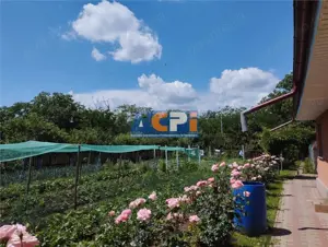 Vila, Republicii, Bacau - imagine 10