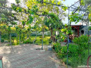 Casa de vânzare Arad - imagine 4