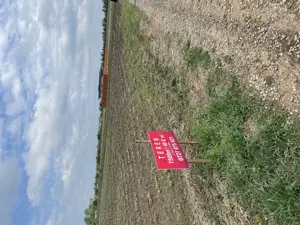 Teren in Balotesti Intravilan  7500m - imagine 9